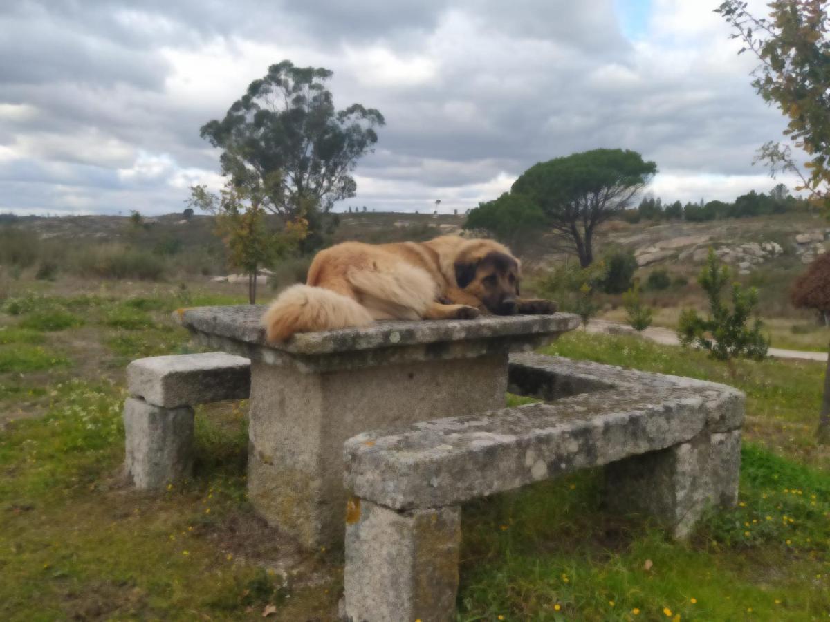 Quinta Da Lua Nova Bed and Breakfast Travancinha Εξωτερικό φωτογραφία