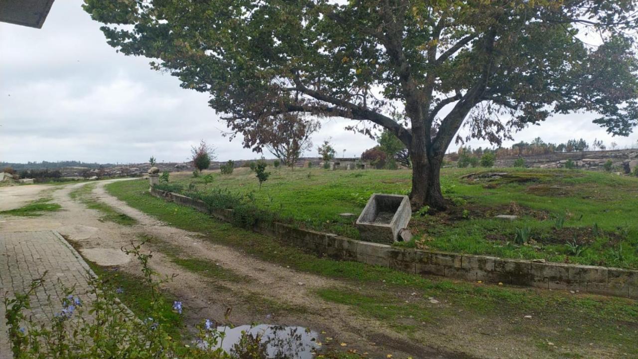 Quinta Da Lua Nova Bed and Breakfast Travancinha Εξωτερικό φωτογραφία