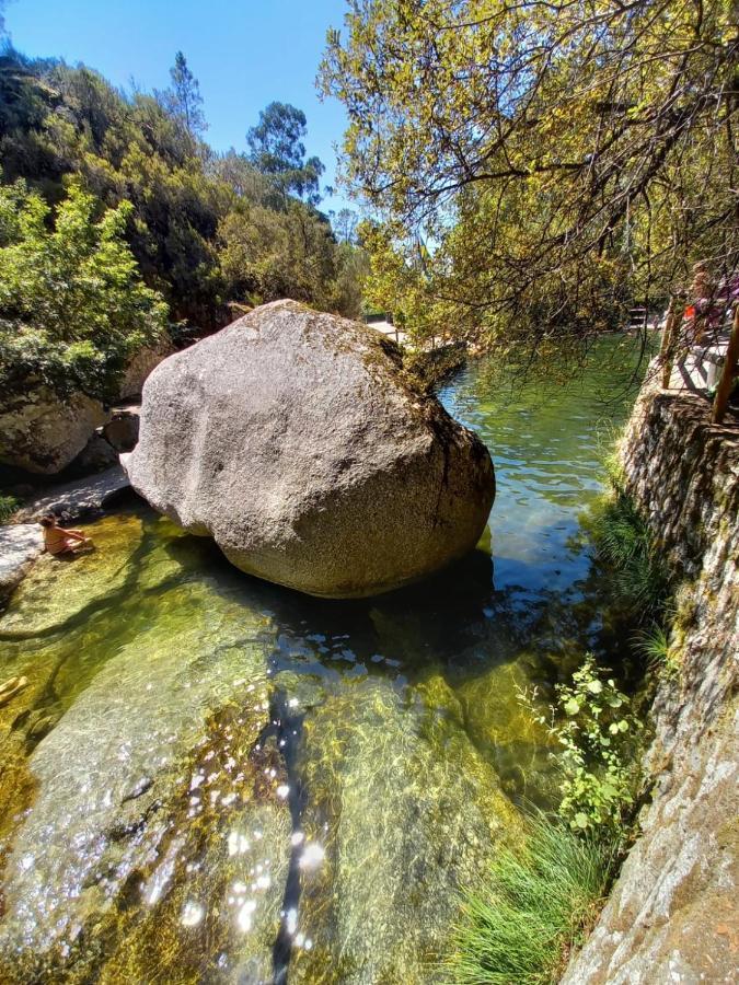 Quinta Da Lua Nova Bed and Breakfast Travancinha Εξωτερικό φωτογραφία